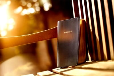 الفصل الثامن والأربعون - بركة يعقوب لأفرائيم ومنسى - الآيات السابعة عشر حتّى الثانية والعشرون