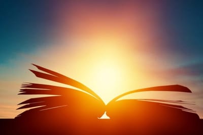 التقدمة إلى الهيكل - حنّة النبيِّة