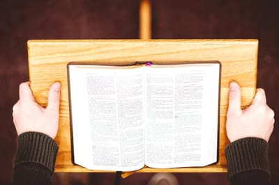 بيرمون عيد الدّنح