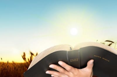 الفصل العاشر - سِفِر الخروج - الضربة  الثامنة - الجَراد - الآيات الأوّلى حتّى العشرون