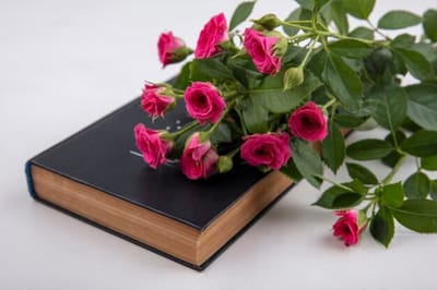 سِفِر الأحبار - الفصل الأوَّل - ١ - رُتَب الذبائح - ذبيحة - المحرقة مِن البقر - الآيات الأولى حتّى التاسعة