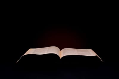 سِفِر الأحبار - الفصل السابع - ١ - رُتَب الذبائح - الكهنوت والذبائح - للفصل السابع هو - نصيب الكهنة - الآيات الثامنة والعشرون حتَّى الرابعة والثلاثون