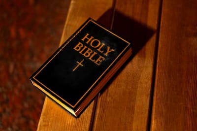 سِفِر الأحبار - الفصل الرابع عشر - ٣ - قواعِد في الطاهر والنجس - للفصل الرابع عشر هو - ج - تطهير برص المنازل - الآيات الثالثة والثلاثون حتَّى السابعة والخمسون