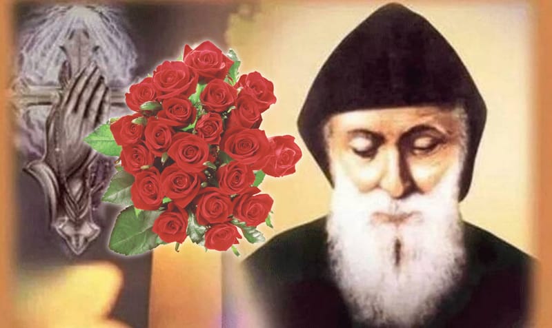 قال له : "إذا شفيتني بدّي إهديك بوكاية كبيرة من الورد" وهذا ما حصل بعد مغادرتهم المحبسة!