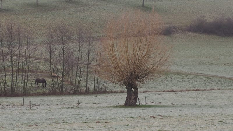 Il faut toujours un hiver pour bercer un printemps !