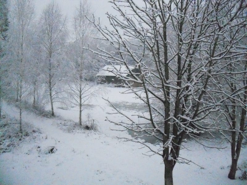 Il faut toujours un hiver pour bercer un printemps !