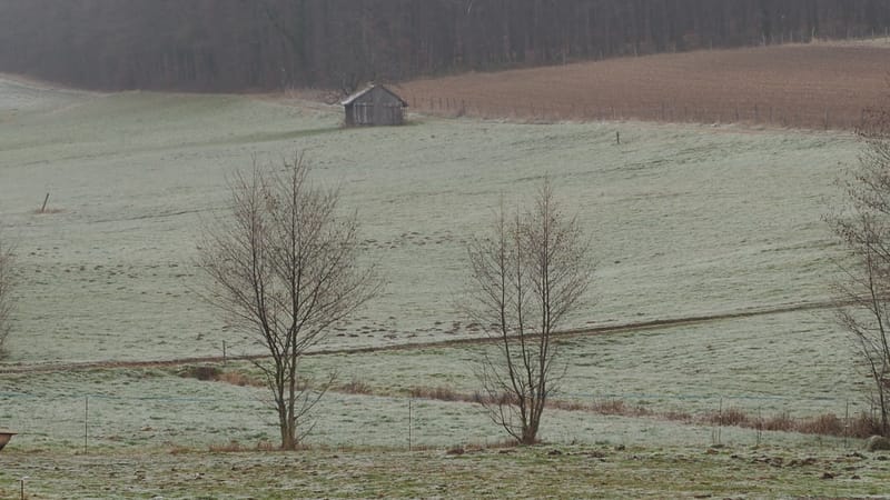 Il faut toujours un hiver pour bercer un printemps !