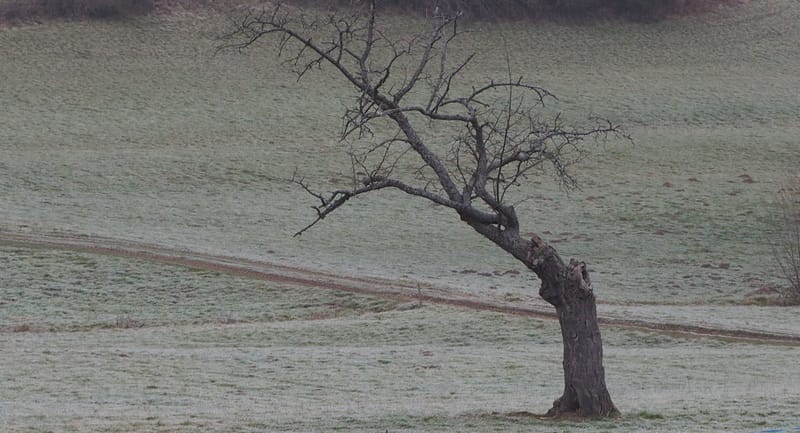 Il faut toujours un hiver pour bercer un printemps !