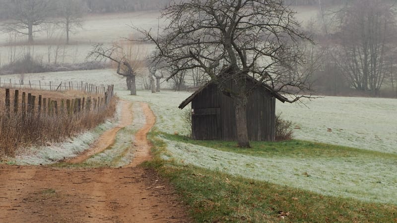 Il faut toujours un hiver pour bercer un printemps !