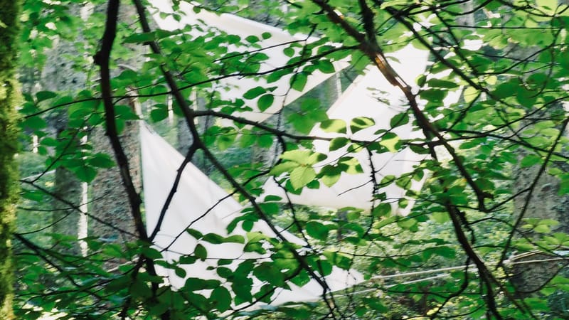 L'art au coeur des forêts.