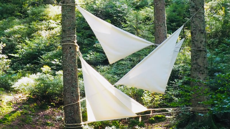 L'art au coeur des forêts.