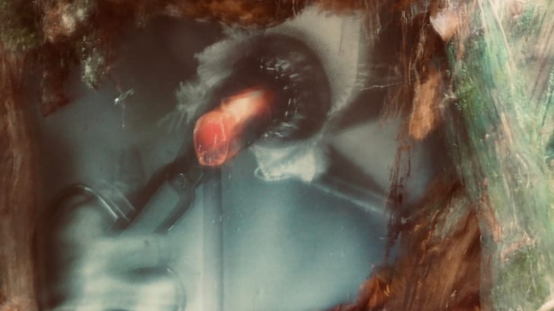 L'art au coeur des forêts. Le verre