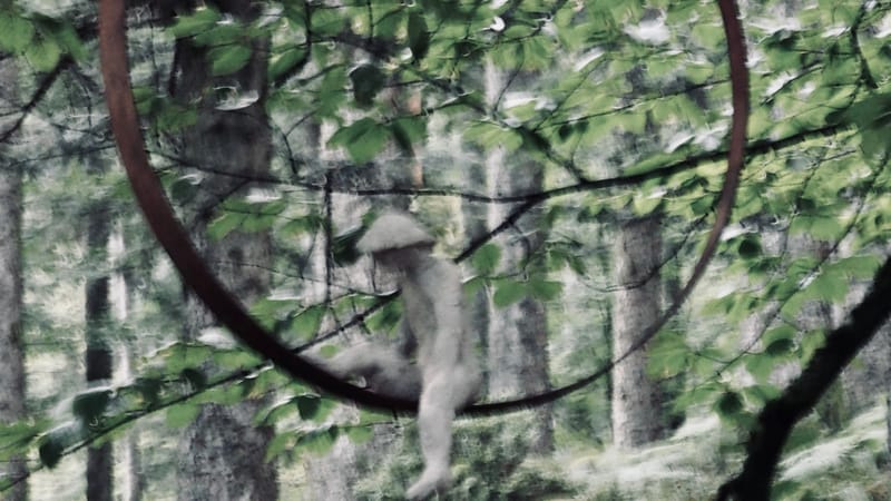 L'art au coeur des forêts. Jeu de plein air