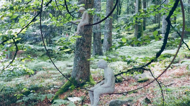 L'art au coeur des forêts. Jeu de plein air