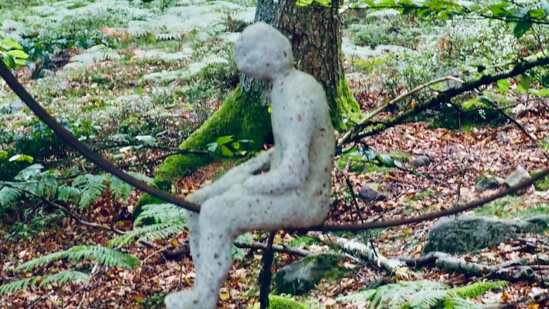 L'art au coeur des forêts. Jeu de plein air