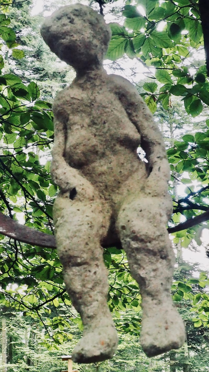 L'art au coeur des forêts. Jeu de plein air