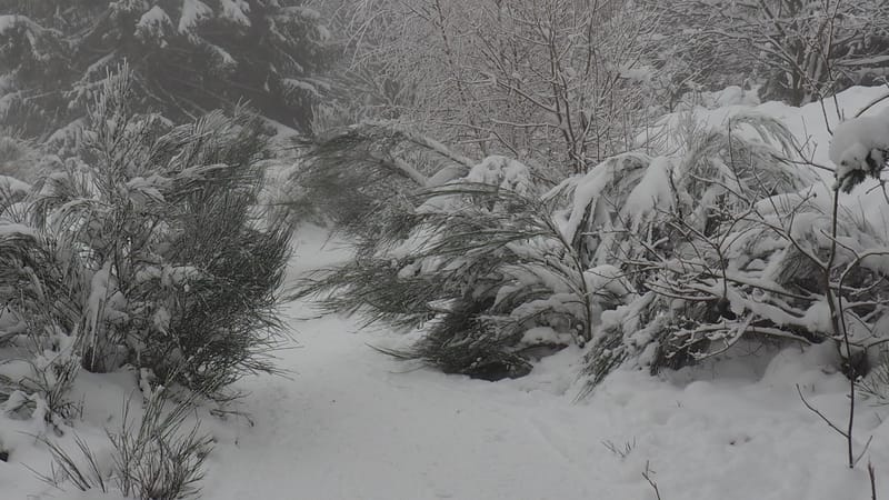 Il faut toujours un hiver pour bercer un printemps !