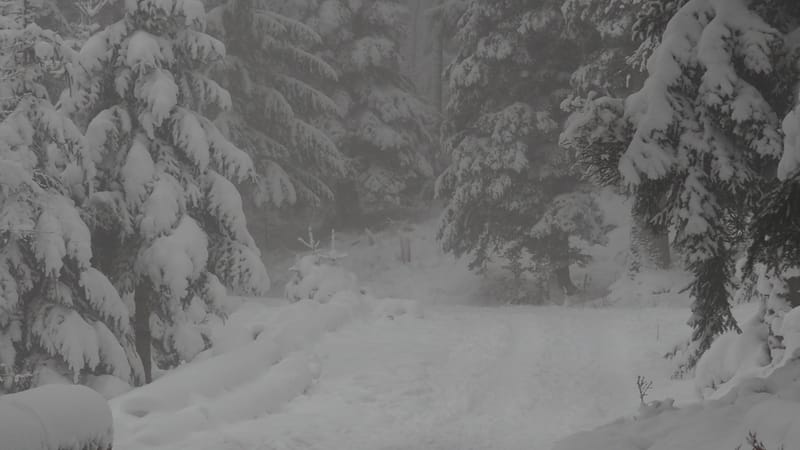 Il faut toujours un hiver pour bercer un printemps !