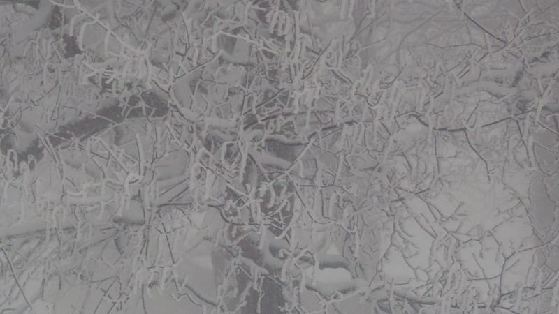 Il faut toujours un hiver pour bercer un printemps !