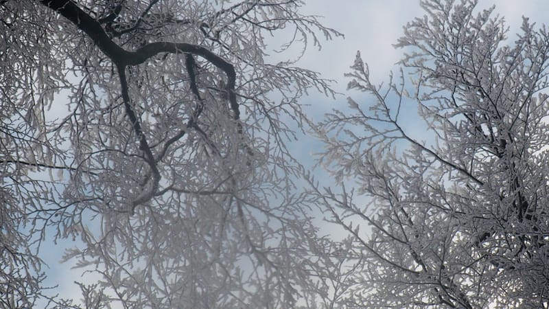 Il faut toujours un hiver pour bercer un printemps !