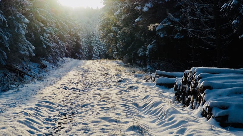 Il faut toujours un hiver pour bercer un printemps !