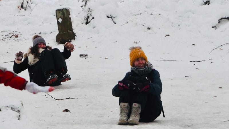 Hiver 2020-2021 - Il a neigé