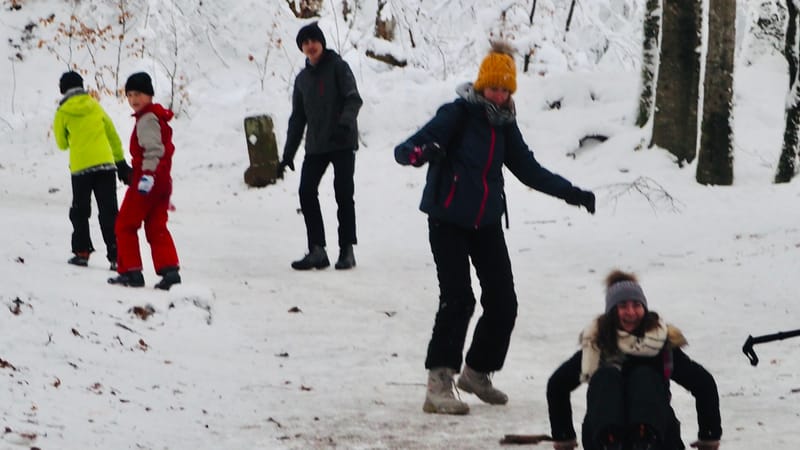 Hiver 2020-2021 - Il a neigé