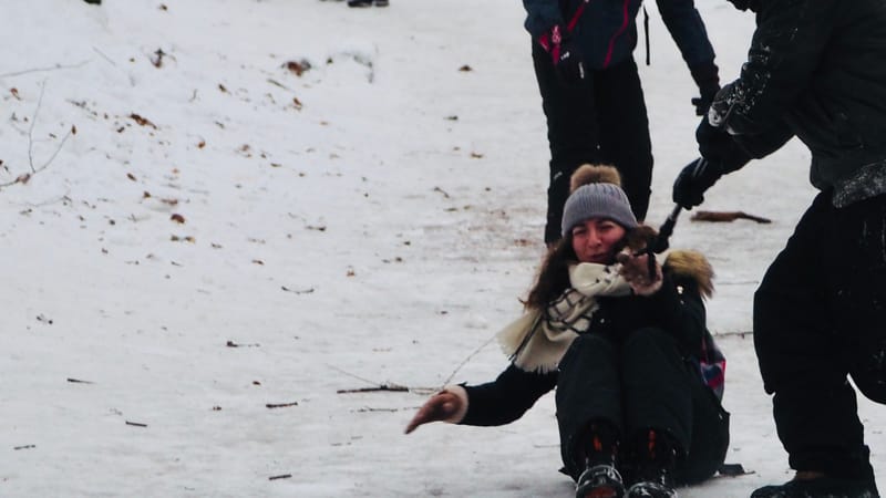 Hiver 2020-2021 - Il a neigé