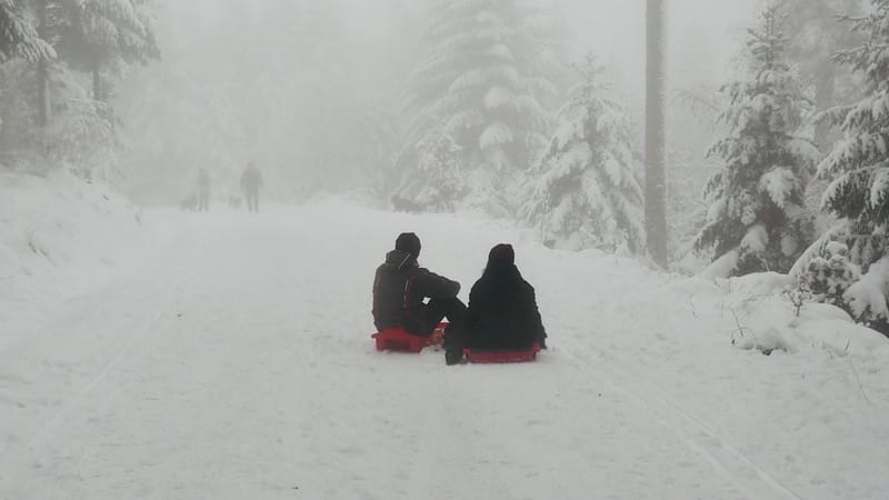 Hiver 2020-2021 - Il a neigé