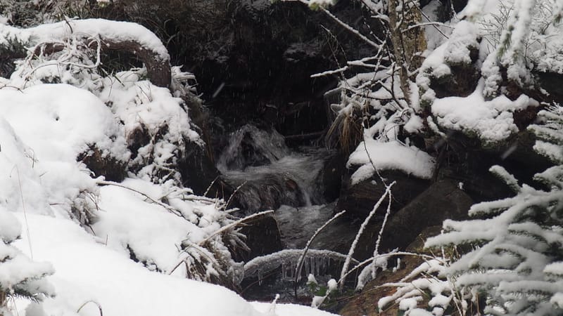 Hiver 2020-2021 - Il a neigé