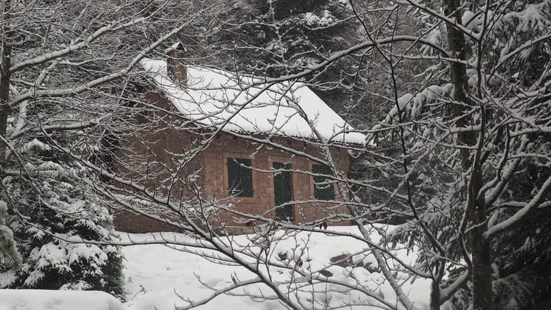 Hiver 2020-2021 - Il a neigé