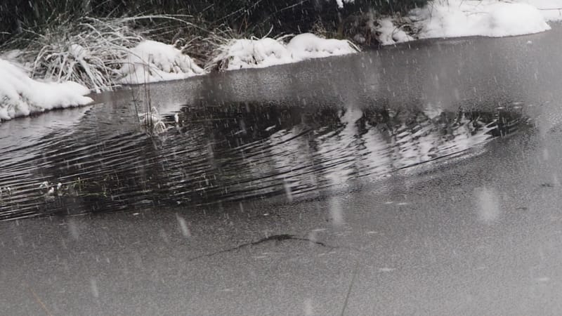 Hiver 2020-2021 - Il a neigé