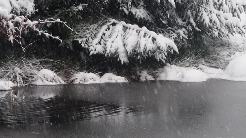 Hiver 2020-2021 - Il a neigé