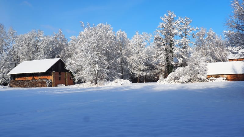 Hiver 2020-2021 - Il a neigé