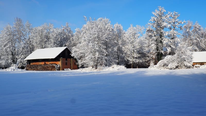 Hiver 2020-2021 - Il a neigé