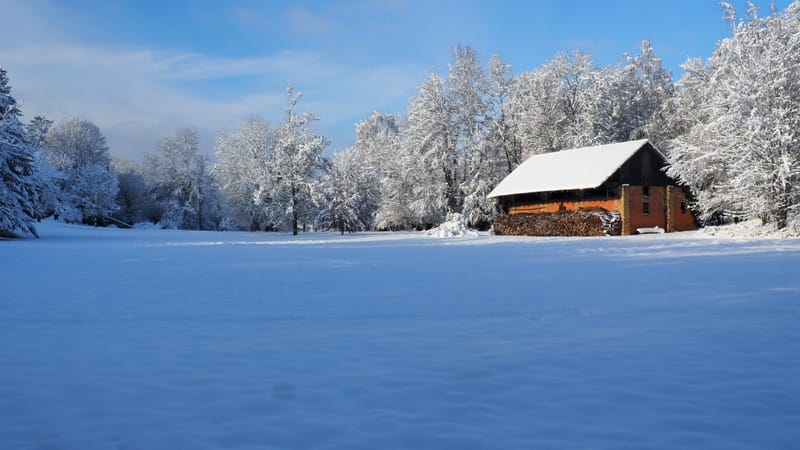 Hiver 2020-2021 - Il a neigé