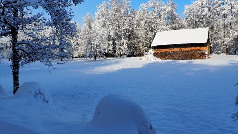 Hiver 2020-2021 - Il a neigé