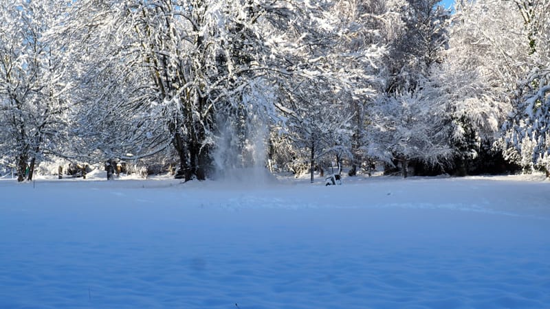 Hiver 2020-2021 - Il a neigé