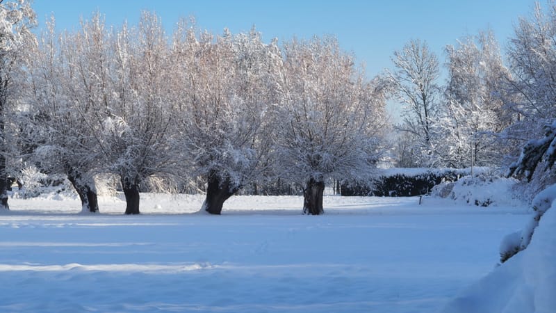 Hiver 2020-2021 - Il a neigé