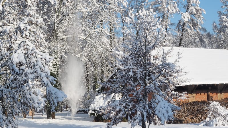 Hiver 2020-2021 - Il a neigé