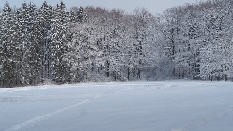 Hiver 2020-2021 - Il a neigé