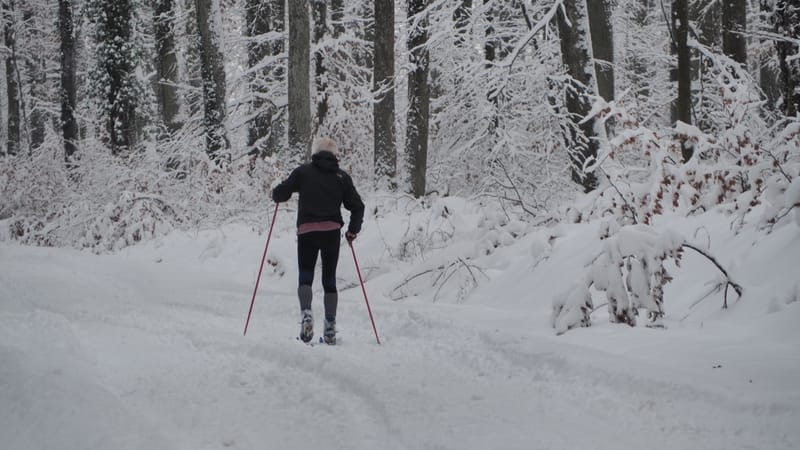 Hiver 2020-2021 - Il a neigé