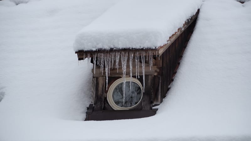 Hiver 2020-2021 - Il a neigé