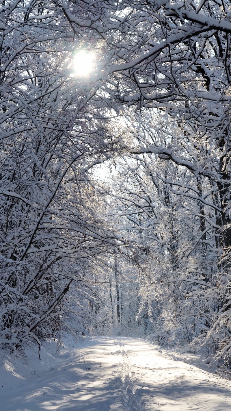 Hiver 2020-2021 - Il a neigé