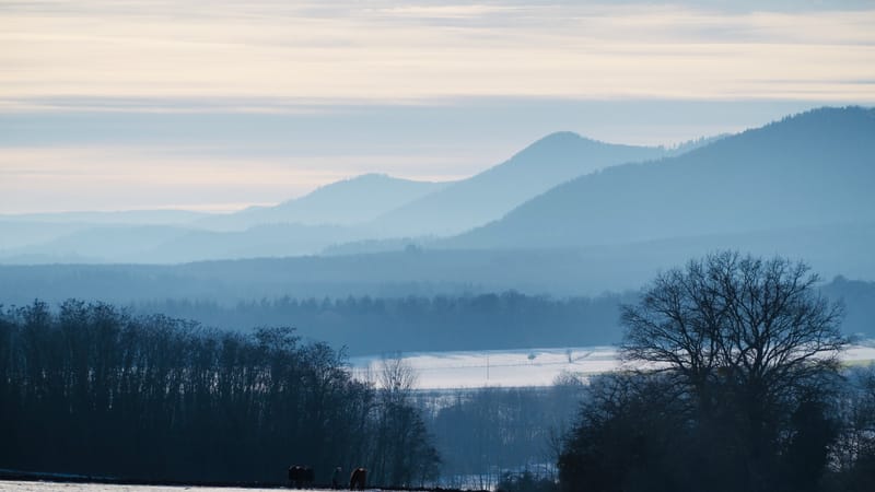 Tout passe, même l'hiver ! Le printemps reviendra