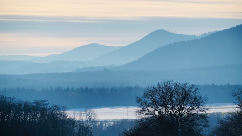 Tout passe, même l'hiver ! Le printemps reviendra