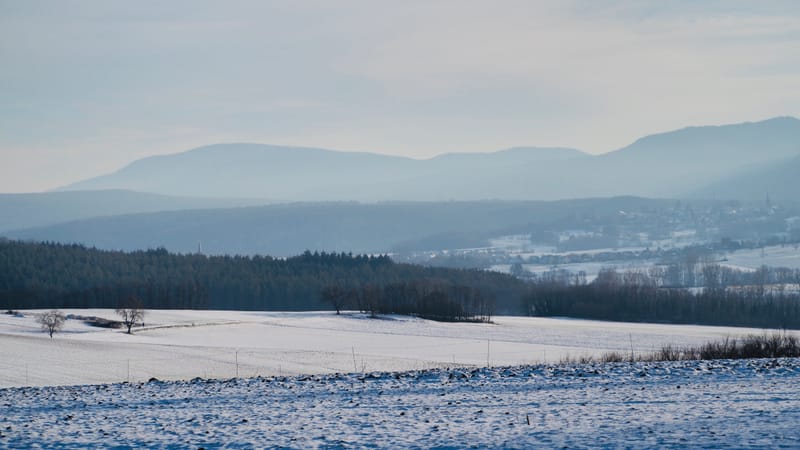 Tout passe, même l'hiver ! Le printemps reviendra