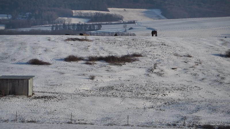 Tout passe, même l'hiver ! Le printemps reviendra