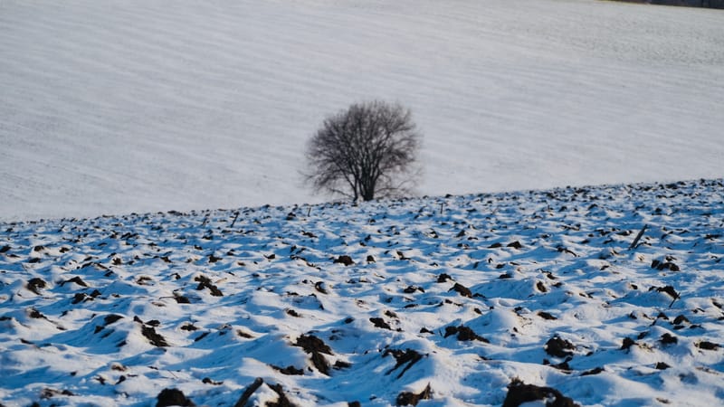 Tout passe, même l'hiver ! Le printemps reviendra