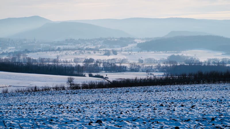 Tout passe, même l'hiver ! Le printemps reviendra